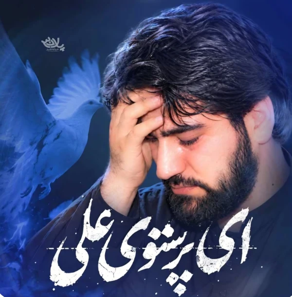 ای پرستوی علی - سید جواد ذاکر